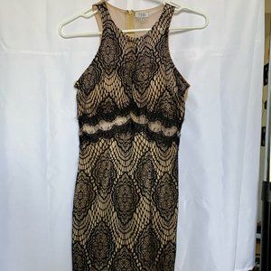 Lace Cocktail Dress